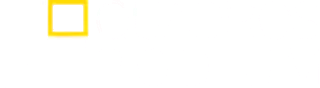 Quadros Podium
