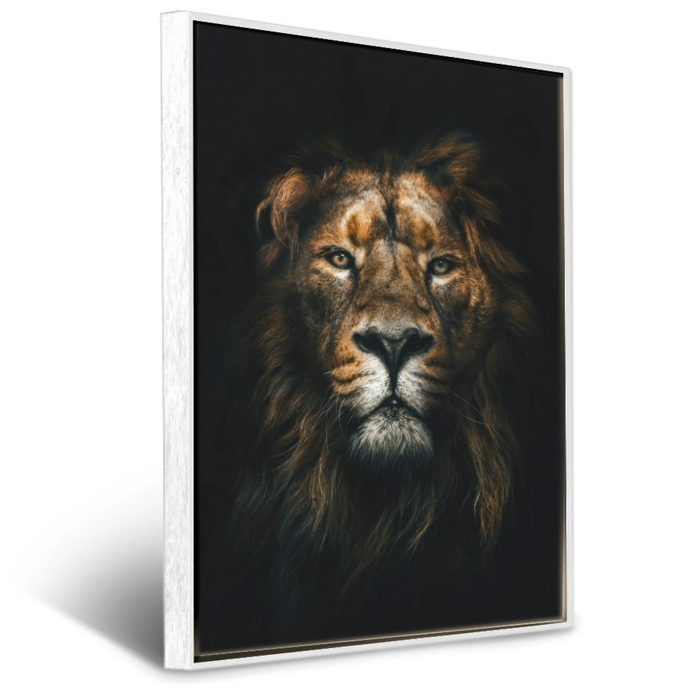 Quadro Leão Do Poder